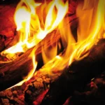 Engel Jürgen - verschiedene und vegane Dinnede